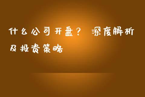 什么公司开盘？ 深度解析及投资策略_https://wap.jnlaobingbanjia.com_股市行情_第1张