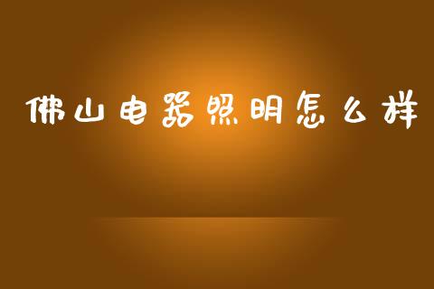 佛山电器照明怎么样_https://wap.jnlaobingbanjia.com_证券公告_第1张