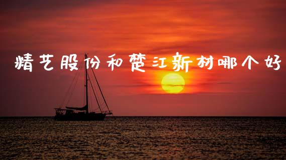 精艺股份和楚江新材哪个好_https://wap.jnlaobingbanjia.com_基金分析_第1张
