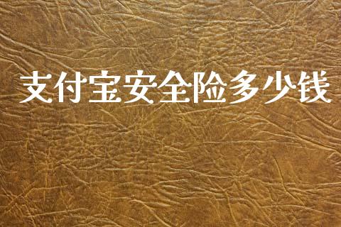 支付宝安全险多少钱_https://wap.jnlaobingbanjia.com_股市行情_第1张