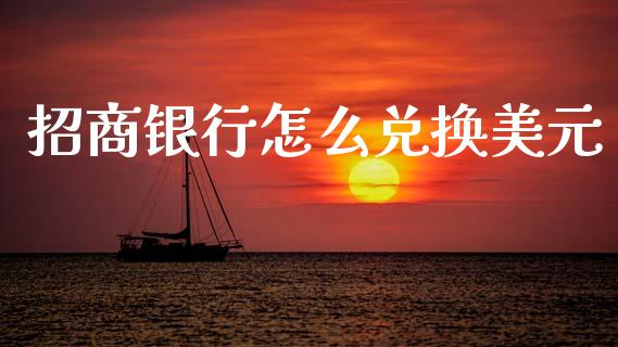 招商银行怎么兑换美元_https://wap.jnlaobingbanjia.com_基金分析_第1张