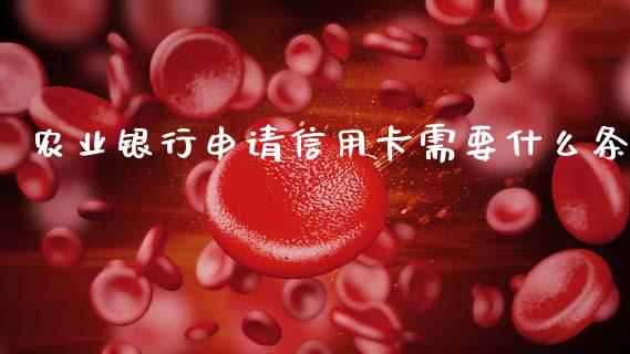 农业银行申请信用卡需要什么条_https://wap.jnlaobingbanjia.com_股市行情_第1张