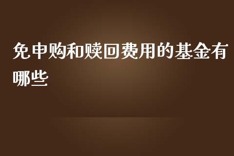 免申购和赎回费用的基金有哪些_https://wap.jnlaobingbanjia.com_股市行情_第1张