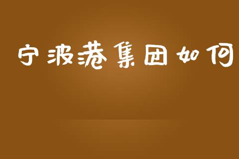 宁波港集团如何_https://wap.jnlaobingbanjia.com_金融理财_第1张