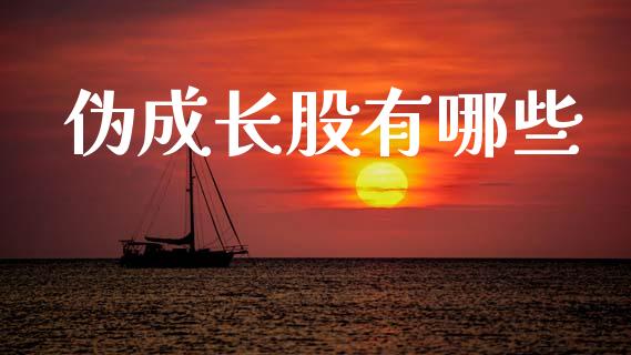 伪成长股有哪些_https://wap.jnlaobingbanjia.com_基金分析_第1张