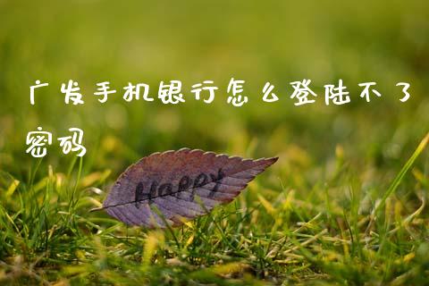 广发手机银行怎么登陆不了密码_https://wap.jnlaobingbanjia.com_财务管理_第1张