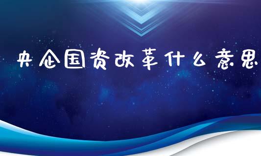 央企国资改革什么意思_https://wap.jnlaobingbanjia.com_基金分析_第1张