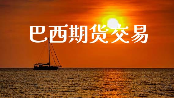 巴西期货交易_https://wap.jnlaobingbanjia.com_财务管理_第1张