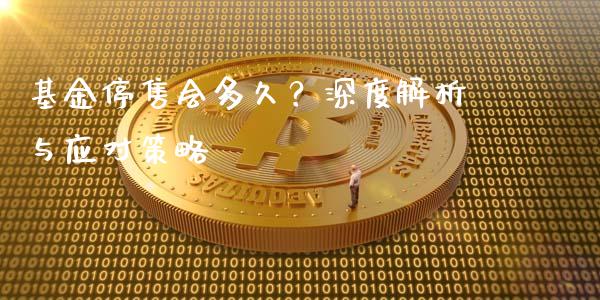 基金停售会多久？深度解析与应对策略_https://wap.jnlaobingbanjia.com_证券公告_第1张