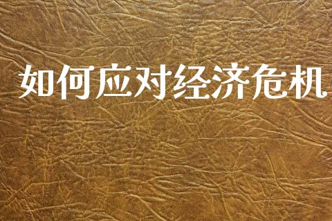 如何应对经济危机_https://wap.jnlaobingbanjia.com_基金分析_第1张