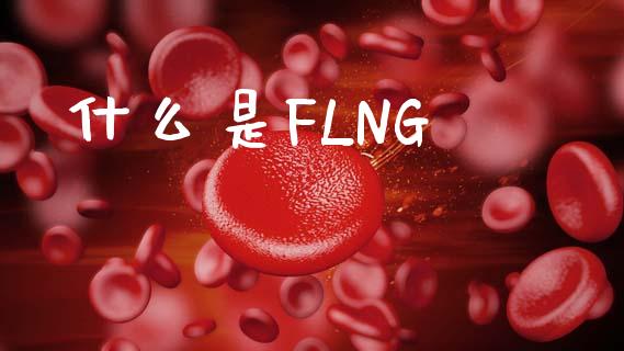 什么是FLNG_https://wap.jnlaobingbanjia.com_股市行情_第1张