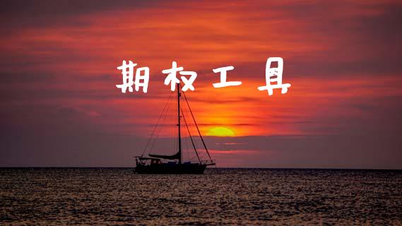 期权工具_https://wap.jnlaobingbanjia.com_财经资讯_第1张