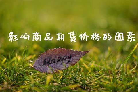 影响商品期货价格的因素_https://wap.jnlaobingbanjia.com_财务管理_第1张