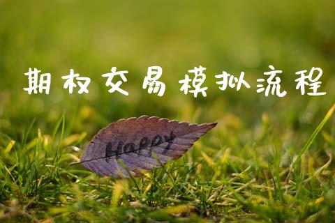 期权交易模拟流程_https://wap.jnlaobingbanjia.com_证券公告_第1张