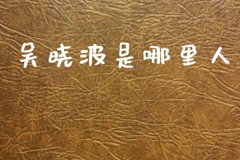 吴晓波是哪里人_https://wap.jnlaobingbanjia.com_财经资讯_第1张