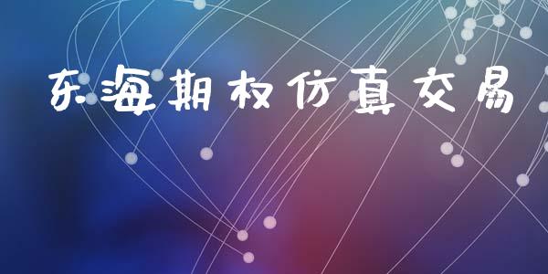 东海期权仿真交易_https://wap.jnlaobingbanjia.com_基金分析_第1张