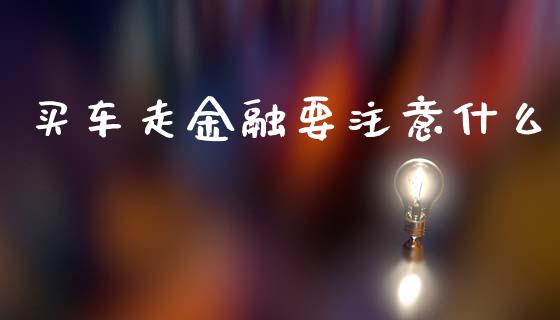 买车走金融要注意什么_https://wap.jnlaobingbanjia.com_财经资讯_第1张