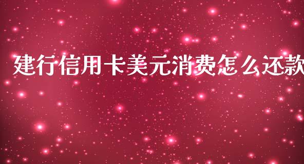 建行信用卡美元消费怎么还款_https://wap.jnlaobingbanjia.com_财经资讯_第1张