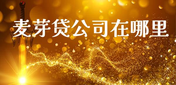麦芽贷公司在哪里_https://wap.jnlaobingbanjia.com_金融理财_第1张