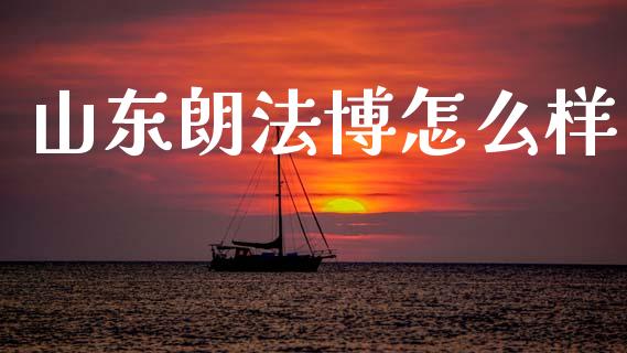 山东朗法博怎么样_https://wap.jnlaobingbanjia.com_证券公告_第1张