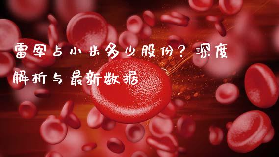 雷军占小米多少股份？深度解析与最新数据_https://wap.jnlaobingbanjia.com_金融理财_第1张