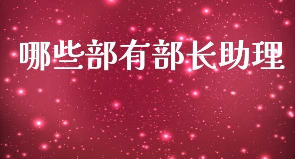 哪些部有部长助理_https://wap.jnlaobingbanjia.com_金融理财_第1张