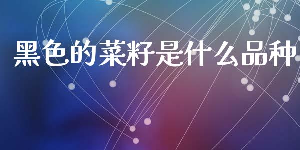 黑色的菜籽是什么品种_https://wap.jnlaobingbanjia.com_财经资讯_第1张