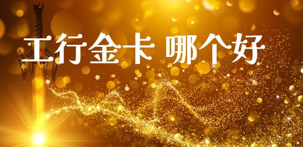 工行金卡 哪个好_https://wap.jnlaobingbanjia.com_基金分析_第1张