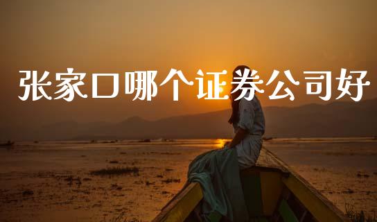 张家口哪个证券公司好_https://wap.jnlaobingbanjia.com_财务管理_第1张