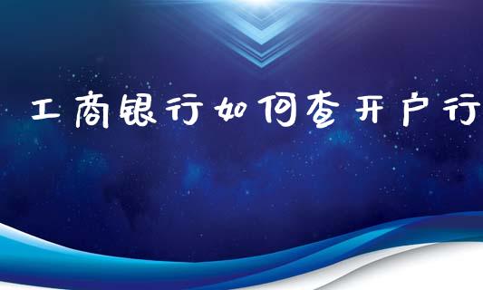 工商银行如何查开户行_https://wap.jnlaobingbanjia.com_基金分析_第1张