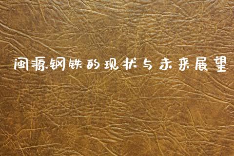 闽源钢铁的现状与未来展望_https://wap.jnlaobingbanjia.com_金融理财_第1张