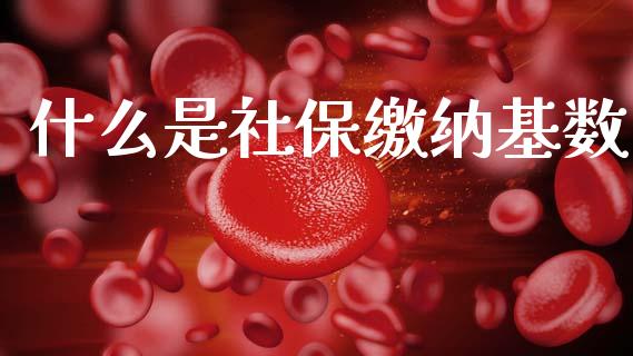 什么是社保缴纳基数_https://wap.jnlaobingbanjia.com_基金分析_第1张