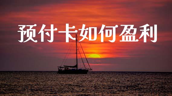 预付卡如何盈利_https://wap.jnlaobingbanjia.com_证券公告_第1张