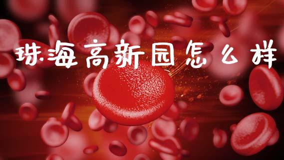 珠海高新园怎么样_https://wap.jnlaobingbanjia.com_财经资讯_第1张