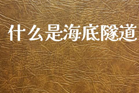 什么是海底隧道_https://wap.jnlaobingbanjia.com_股市行情_第1张