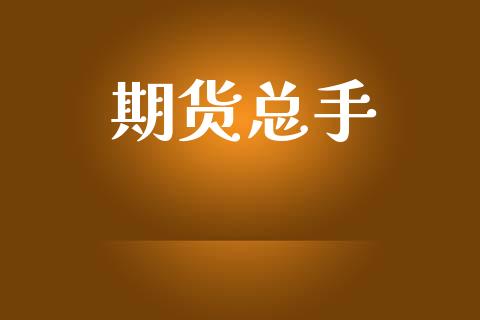 期货总手_https://wap.jnlaobingbanjia.com_证券公告_第1张