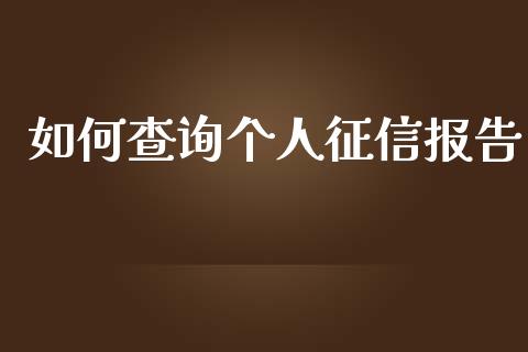 如何查询个人征信报告_https://wap.jnlaobingbanjia.com_财务管理_第1张