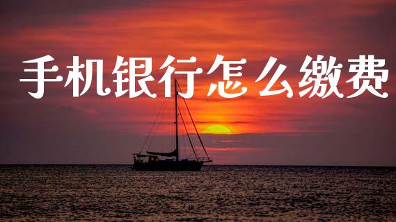 手机银行怎么缴费_https://wap.jnlaobingbanjia.com_财务管理_第1张