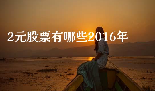 2元股票有哪些2016年_https://wap.jnlaobingbanjia.com_金融理财_第1张