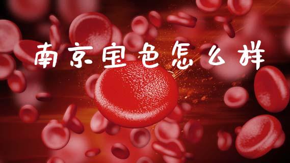 南京宝色怎么样_https://wap.jnlaobingbanjia.com_财经资讯_第1张