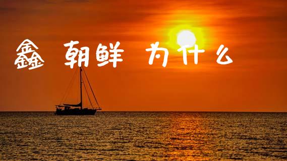 鑫 朝鲜 为什么_https://wap.jnlaobingbanjia.com_财务管理_第1张