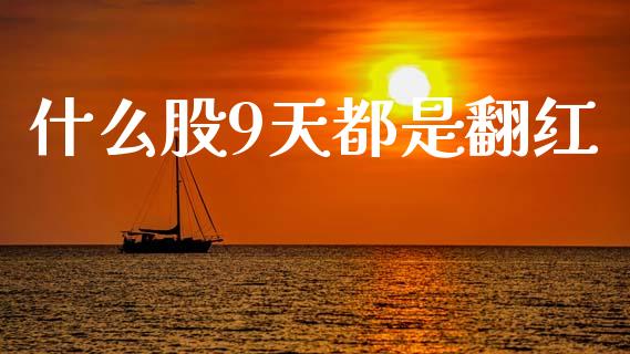 什么股9天都是翻红_https://wap.jnlaobingbanjia.com_基金分析_第1张