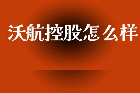 沃航控股怎么样_https://wap.jnlaobingbanjia.com_财经资讯_第1张
