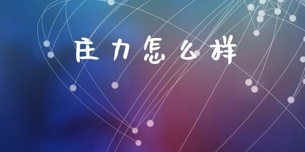 庄力怎么样_金融理财_第1张_财经资讯_股市行情_财务管理_金融理财 庄力怎么样_https://wap.jnlaobingbanjia.com_金融理财_第1张