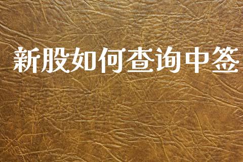 新股如何查询中签_https://wap.jnlaobingbanjia.com_股市行情_第1张