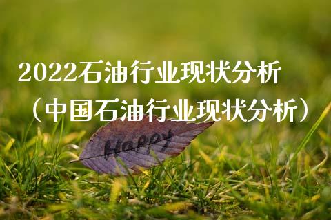 2022石油行业现状分析（中国石油行业现状分析）_https://wap.jnlaobingbanjia.com_金融理财_第1张