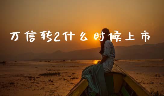 万信转2什么时候上市_https://wap.jnlaobingbanjia.com_股市行情_第1张