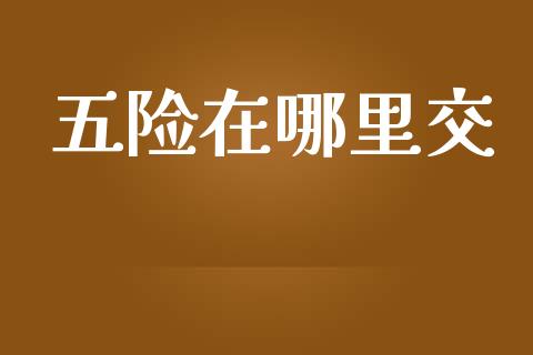 五险在哪里交_https://wap.jnlaobingbanjia.com_财经资讯_第1张