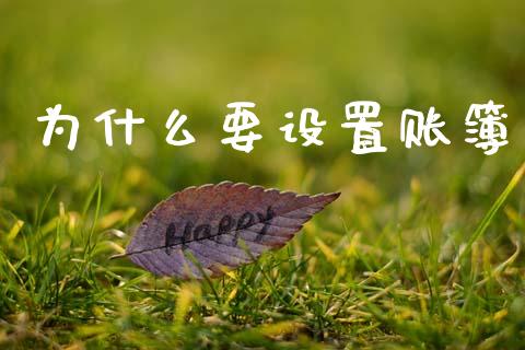 为什么要设置账簿_https://wap.jnlaobingbanjia.com_股市行情_第1张