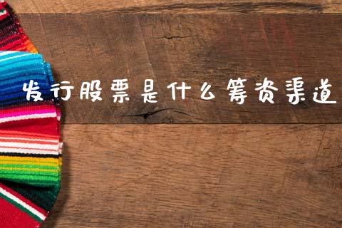 发行股票是什么筹资渠道_https://wap.jnlaobingbanjia.com_证券公告_第1张